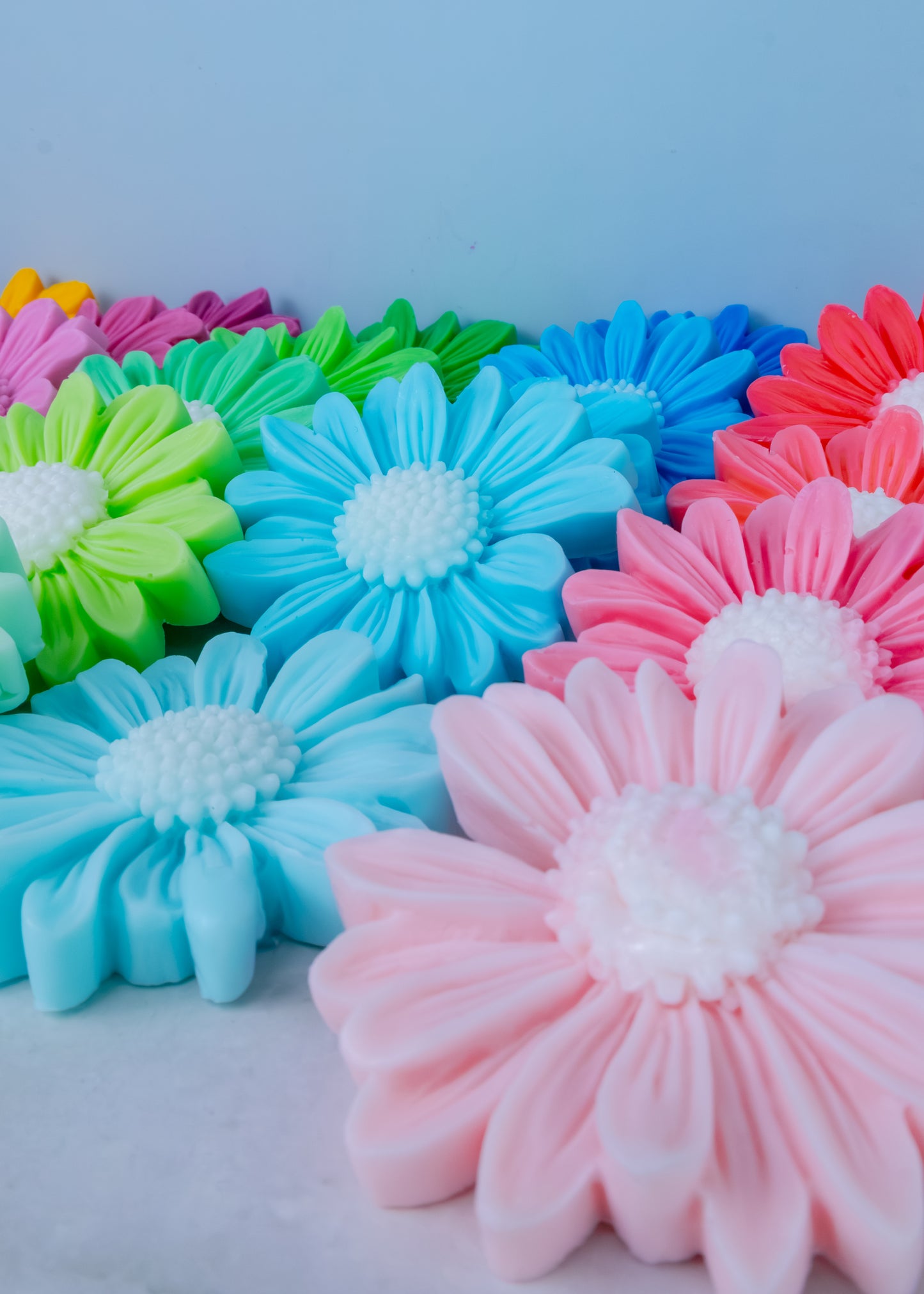 Daisy collection