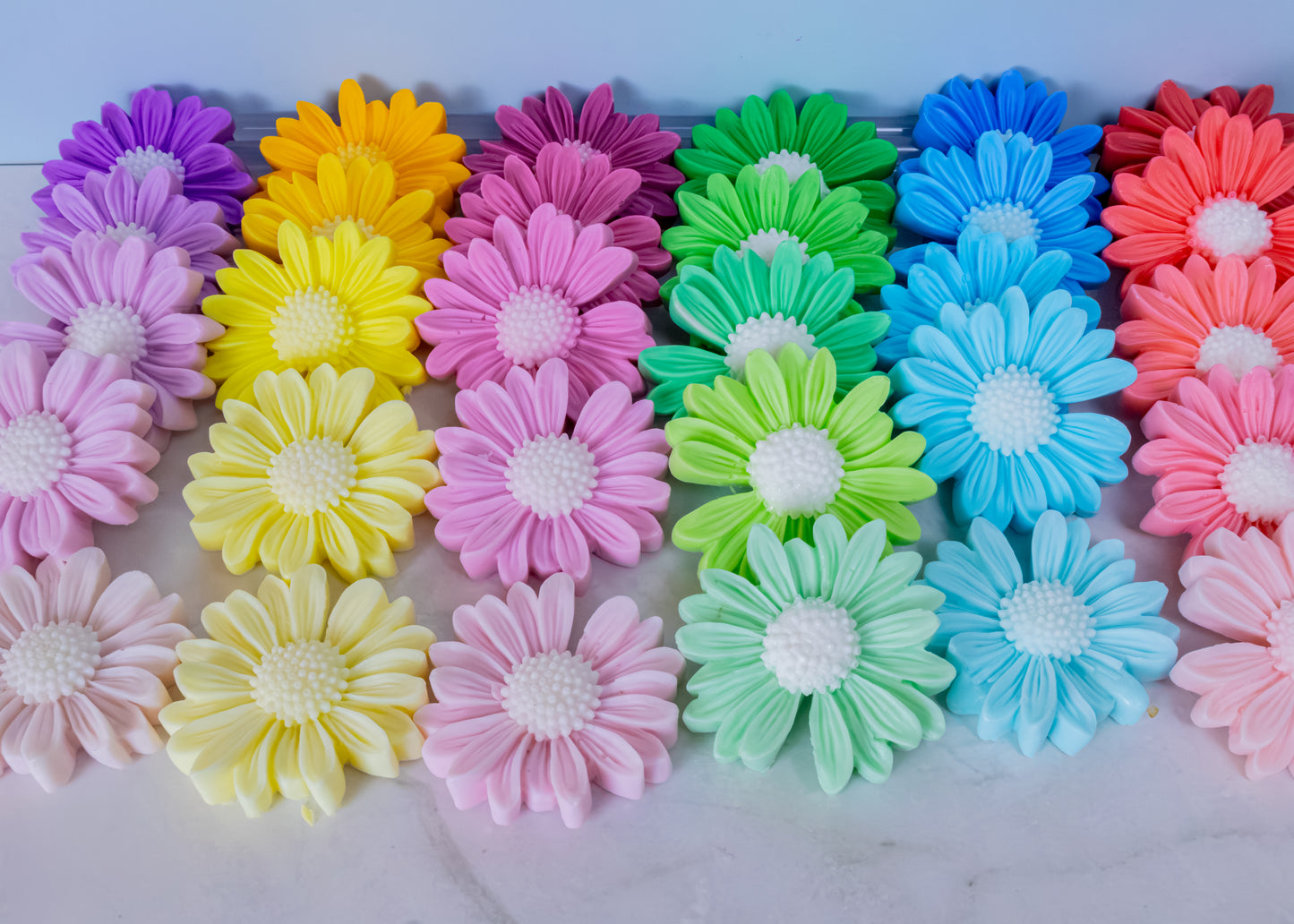 Daisy collection