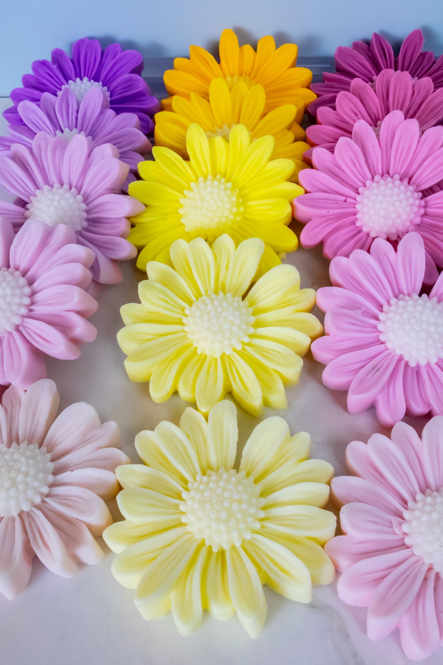 Daisy collection