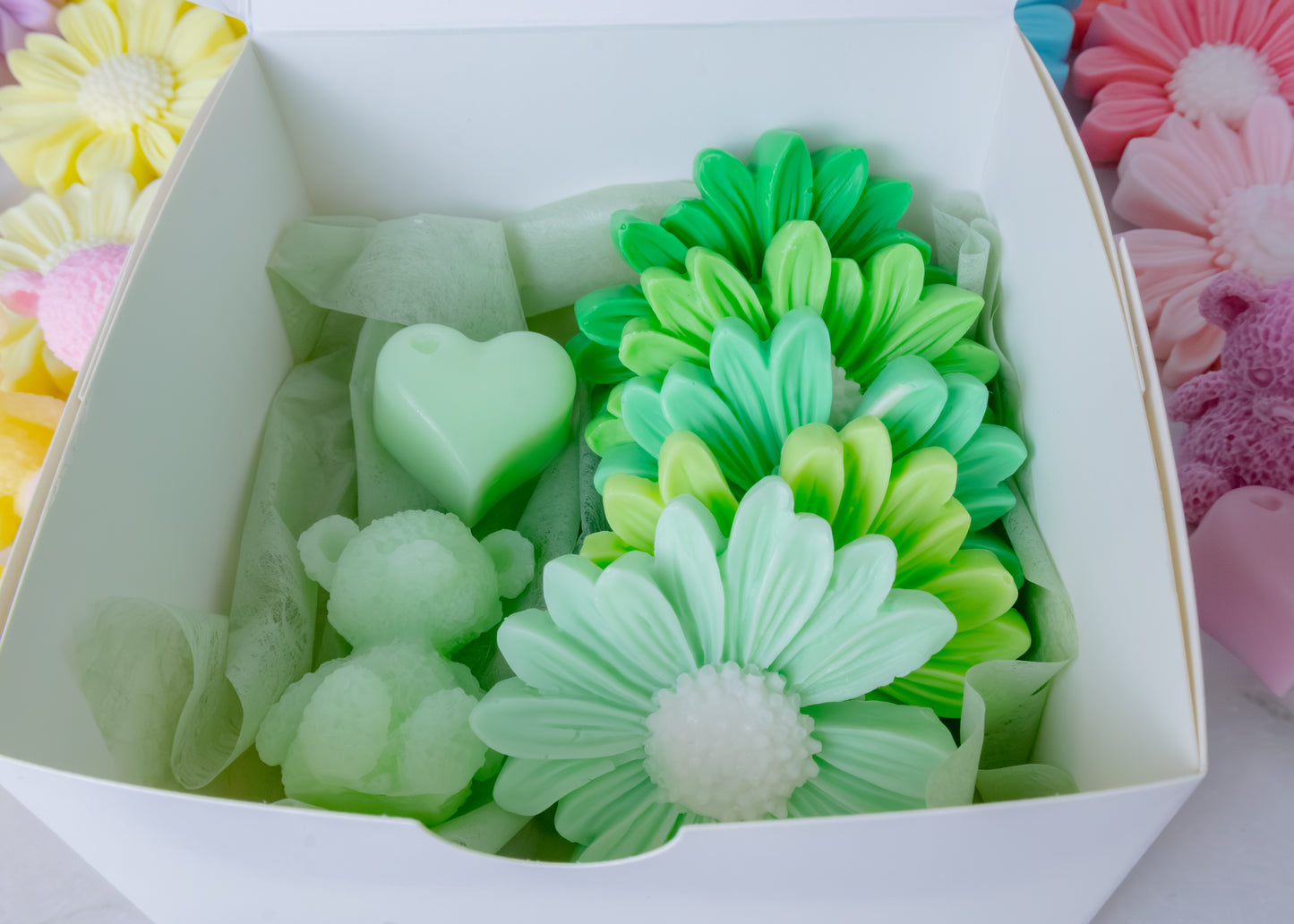 Daisy collection