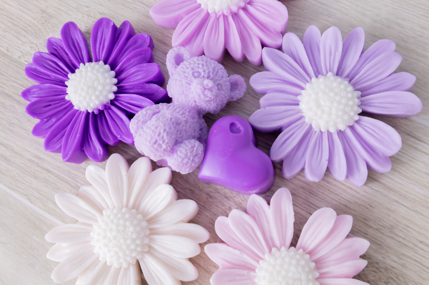Daisy collection