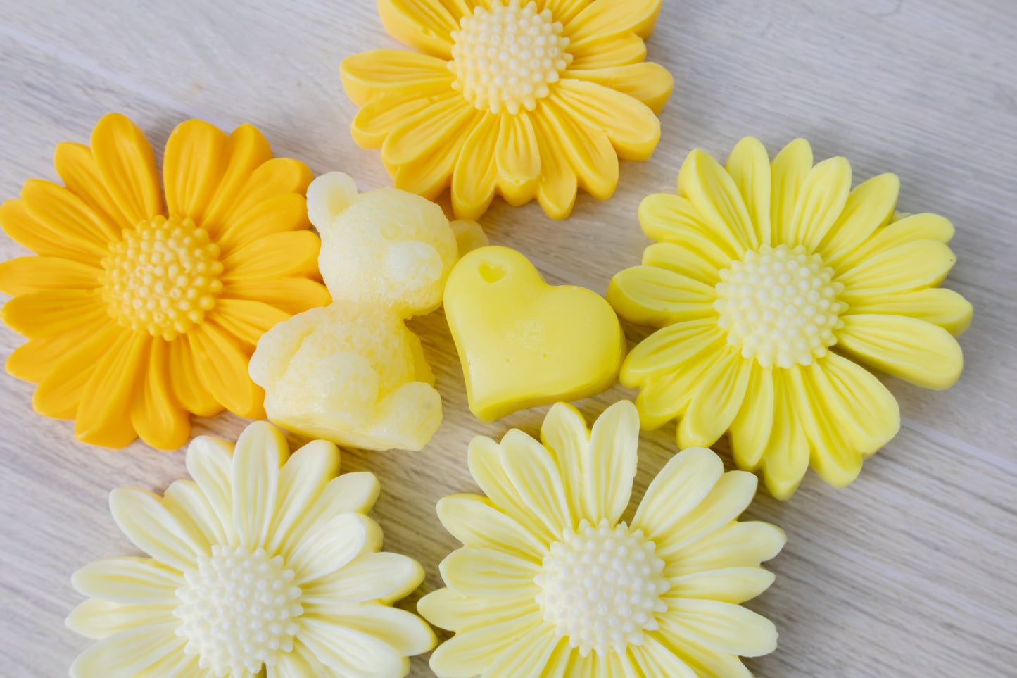 Daisy collection